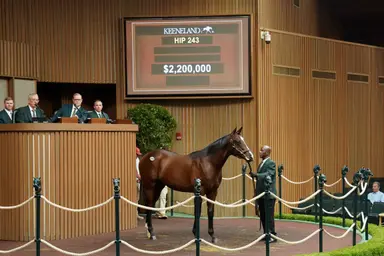 Keeneland September: Fireworks continue as Book 1 finishes with big gains