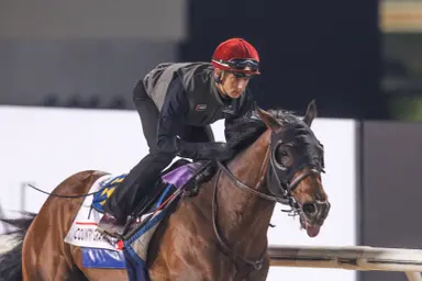 Dubai World Cup: Fresu to follow in Dettori's footsteps