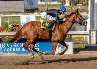 If looks can kill, Little Miss Curlin wins the Dixie Belle