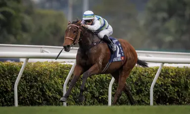 Hong Kong: Voyage Bubble tries to complete Triple Crown in Champions and Chater Cup