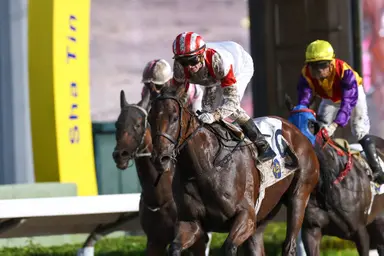 Zac Purton seals eighth jockeys’ championship, Ellis Wong rides first Hong Kong treble