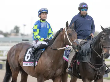 Senor Buscador brings Rose's Desert, Peacock family to world's biggest stage