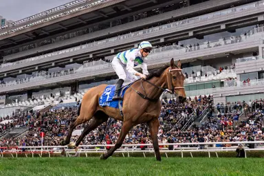 Voyage Bubble faces Romantic Warrior in heavyweight BOCHK Jockey Club Cup clash