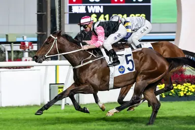 Luke Middlebrook's Hong Kong Selections and Analysis for Sunday, May 24, 2026