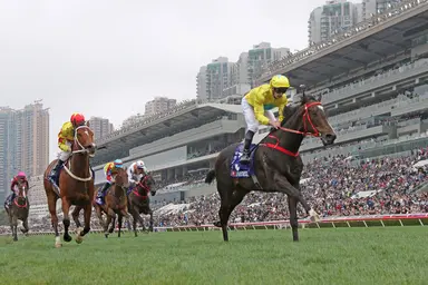 McDonald alert to Lucky Sweynesse’s G1 Queen’s Silver Jubilee Cup dangers