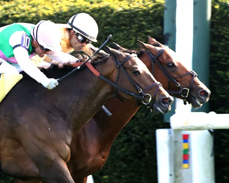 EXPENSIVE QUEEN (Outside) - Segesta (Inside) - Jenny Willey G1 - 38th Running  - 04-11-26 - R09 - Keeneland Race Course - Finish 05 - Rick Bailey.jpg