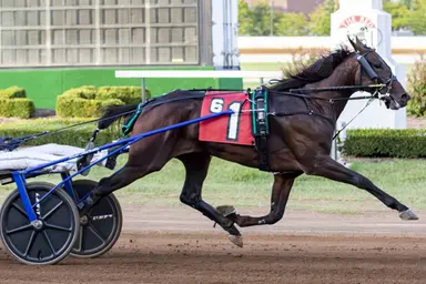 Red Mile:  Go Dog Go eyes rebound in opening week return