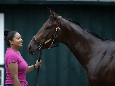 Multiple Grade 1 winner La Cara retired, will be bred to Not This Time