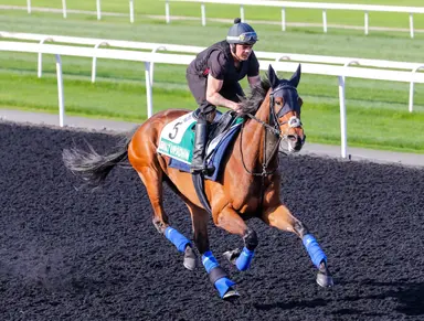 Emily Upjohn back with fillies and mares in Pretty Polly Stakes