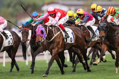 Consistent Gentlemen Legacy primed for Group 1 test, says Badel