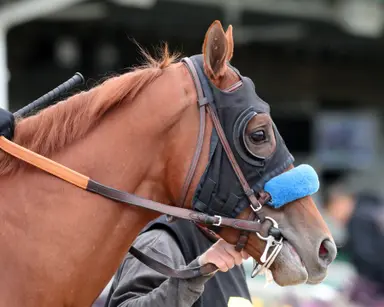 Major change comes to Fasig-Tipton Midlantic sale
