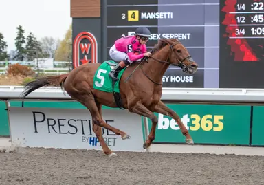 King's Plate winners Paramount Prince, Mansetti set for Round 2
