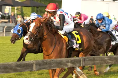 Weekend GamePlan: Picks for Fort Lauderdale, Poinsettia, Letellier