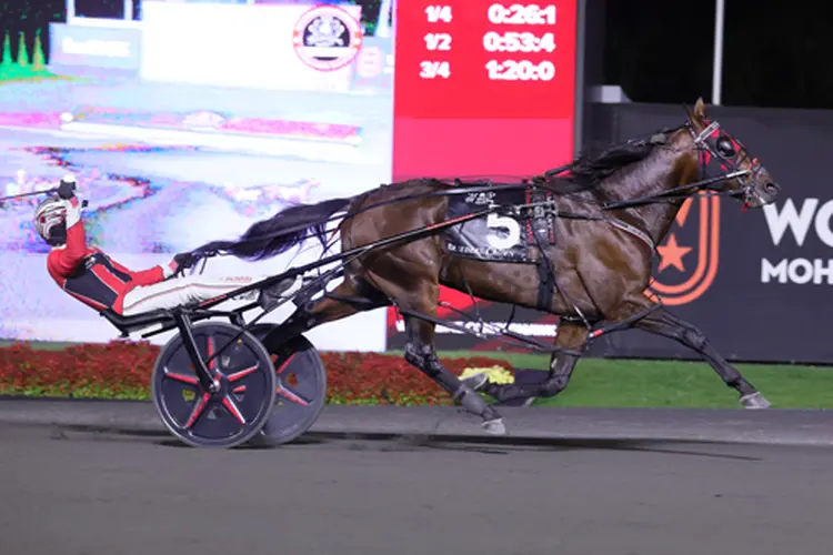 Ervin Hanover 10-25-25
