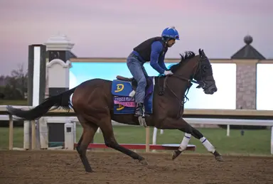 Weekend GamePlan: Picks for Soaring Softly, Daytona, Lady Slipper