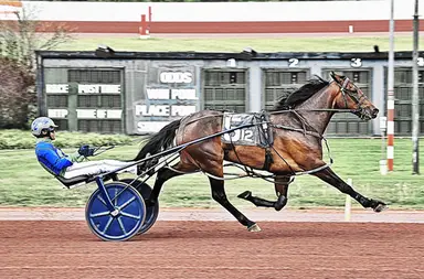 Pocono: Miss Jum Jabber on the verge of being a household name