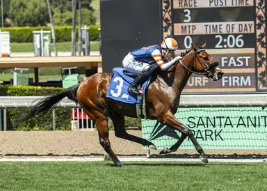 Later Than Planned runs by Tiger Track to take John Shear
