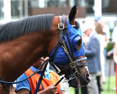 Mighty Beau should set up well for closers
