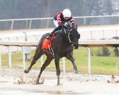 UAE Derby distance the question for Cairo