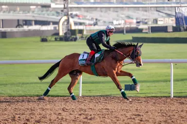 Ascot: Calandagan looks to spoil party in Champion Stakes