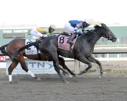 Having gotten his second wind at Parx, Call Me Fast takes Kris Kringle