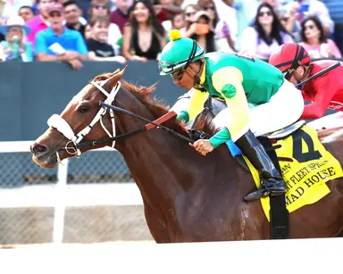 Mad House targeted for races at Laurel or Churchill