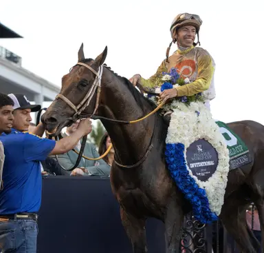 Skippylongstocking has come long way from yearling purchase to legend