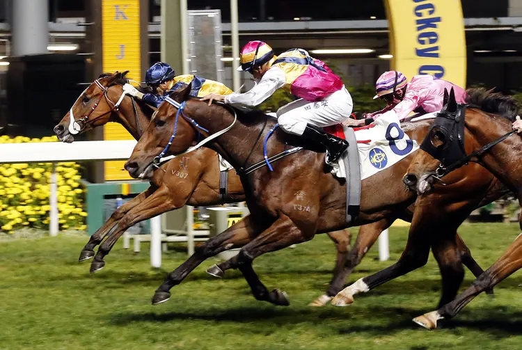 Sea Jade and Blocker Dee dead-heat in the Happy Valley Trophy