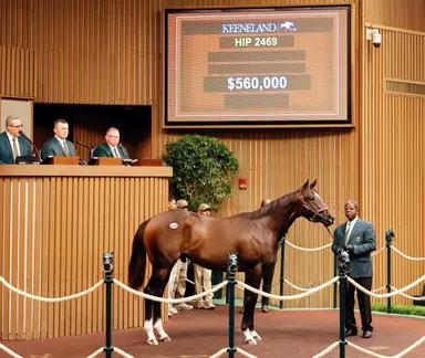 Keeneland September continues record run with $560K Yaupon colt