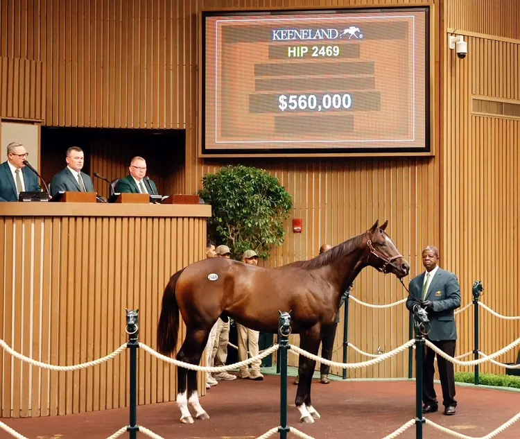 Keeneland September hip 2469 9-16-2025