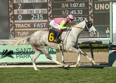 Sunshine Millions winner Shocking Grey tops sale at $170K; now trained by Papaprodromou