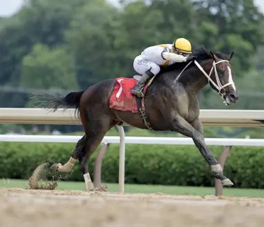 Ferocious taken off Derby trail with muscle tear
