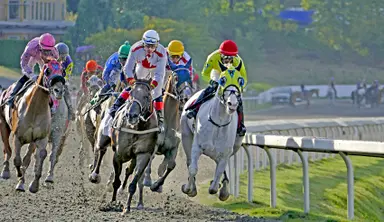 Pacific Thoroughbred Racing Association says fall 2026 meet at Hastings unlikely