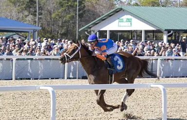 Zany kicks off 3-year-old campaign with Suncoast score