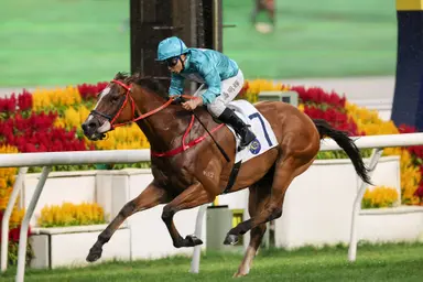 Romantic Thor claims G3 Queen Mother Memorial Cup in Hong Kong breakthrough