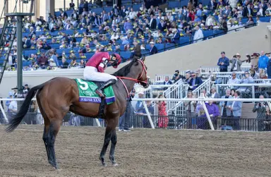 Forever Young named Japan's Horse of the Year for 2025