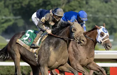 Sierra Leone, Mystik Dan going to stud in 2026