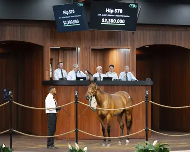 Jackie’s Warrior filly sells for near-record $2.3 million at second session of OBS spring sale