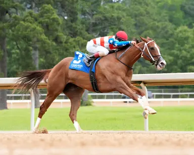 Queen's Martini stirs her first stakes triumph in Dig a Diamond