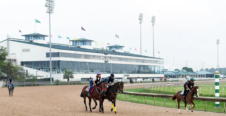 Sam Houston Race Park 2020