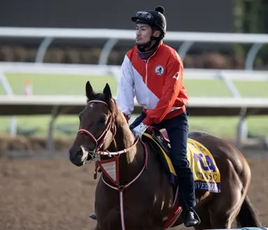 Japan: Breeders' Cup Classic next for Forever Young after Nippon TV Hai Stakes win