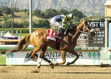 Turf females bolstering Southern California dirt division