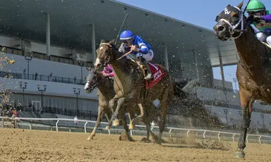 DRF's Horse Racing Playbook for Saturday, October 21, 2023