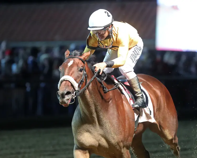 FREE LIKE A GIRL - Misty Bennett Pink Ribbon Stakes - 15th Running - 08-23-24 - R08 - Charles Town - Inside Finish 01 - Renee Torbit.jpg
