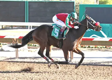 Candy Caballo realistically spotted but may need a race