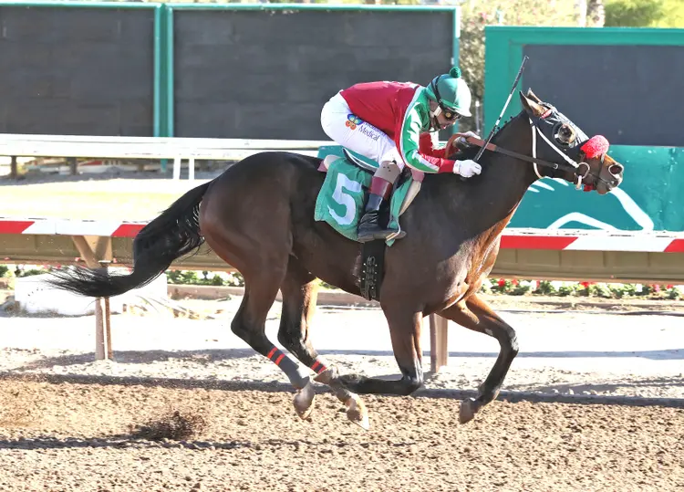 Candy Caballo wins at TUP Dec 10 2024