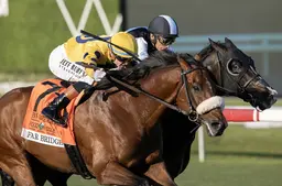 Far Bridge's Pan American win looks familiar