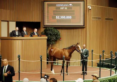 Into Mischief outdoes himself in Book 1 of Keeneland September sale