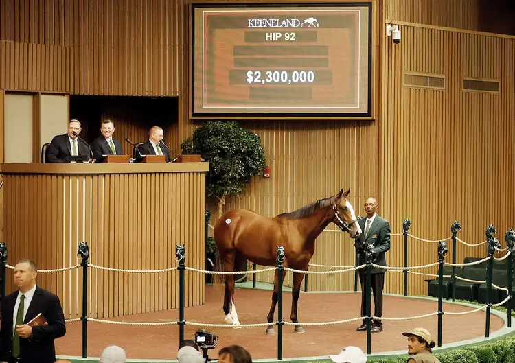 Keeneland September hip 92 Into Mischief.Delightful Joy Sept 11 2023