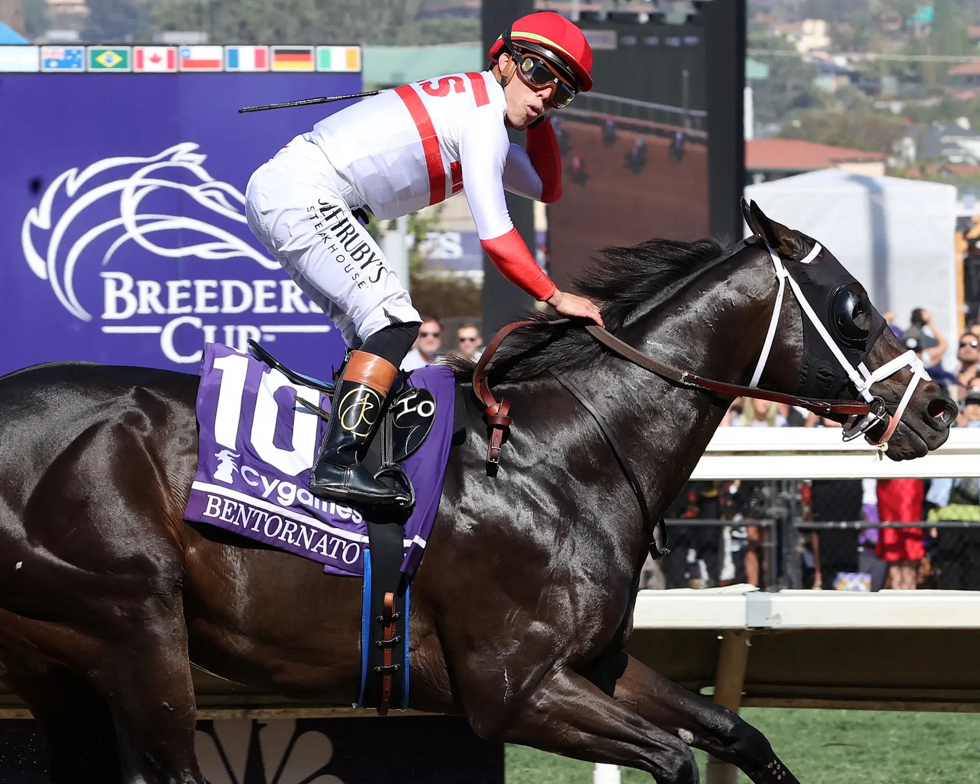 Breeders' Cup Sprint: Bentornato prevails as D'Angelo has great day
